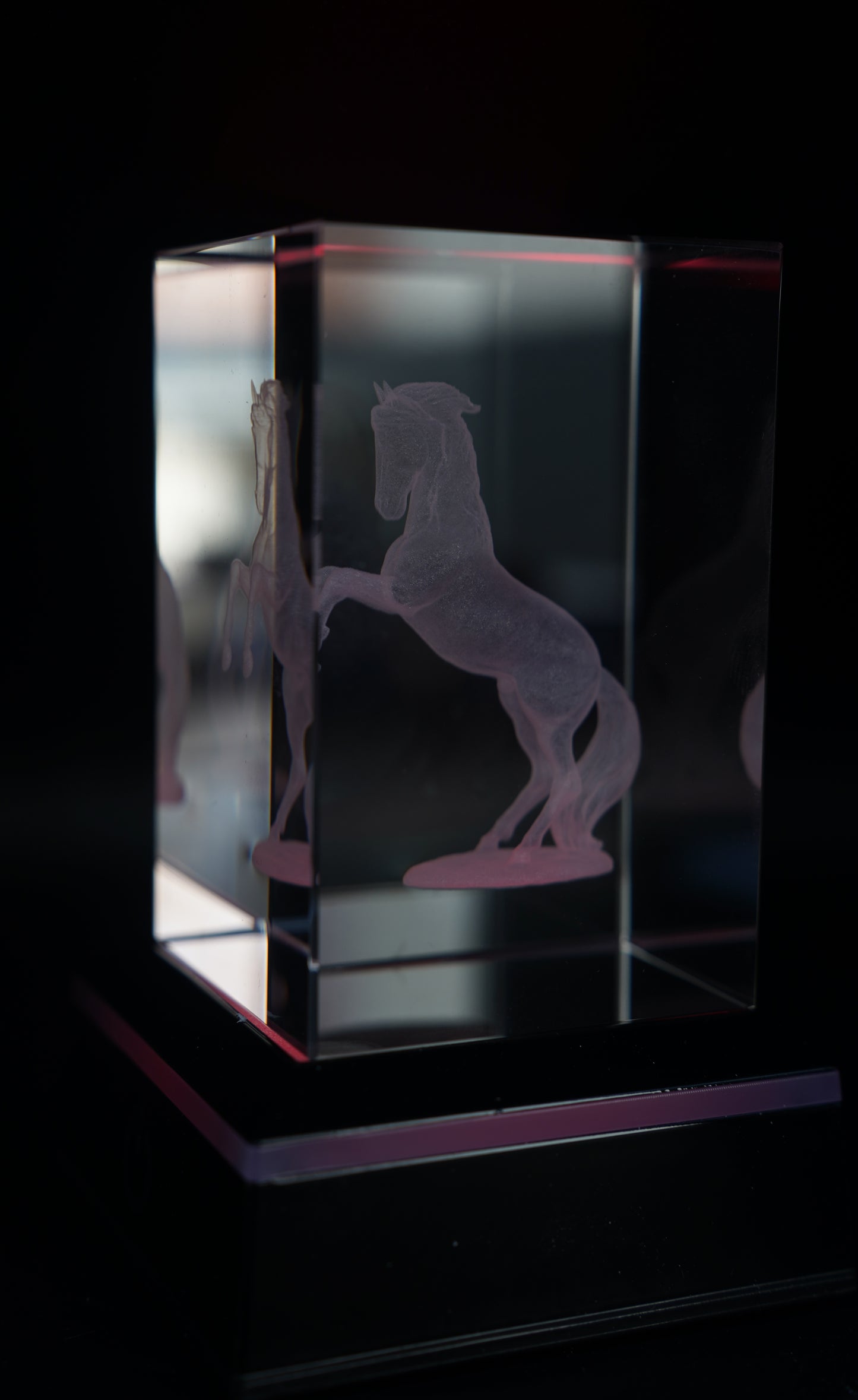 inner engraving-horse2