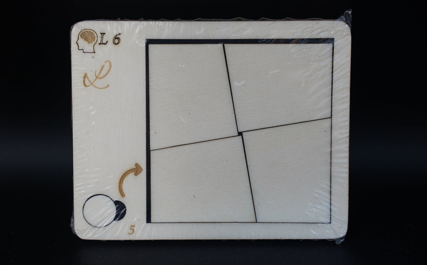puzzle_insert6