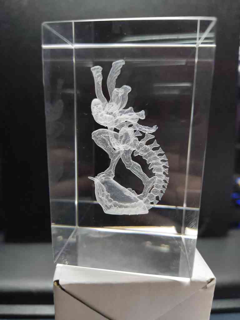 Inner engraving - xenomorph