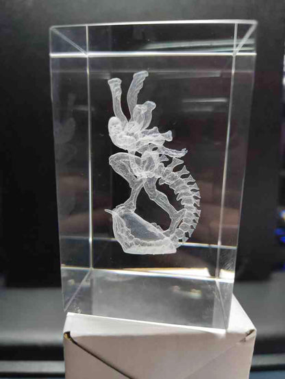 Inner engraving - xenomorph