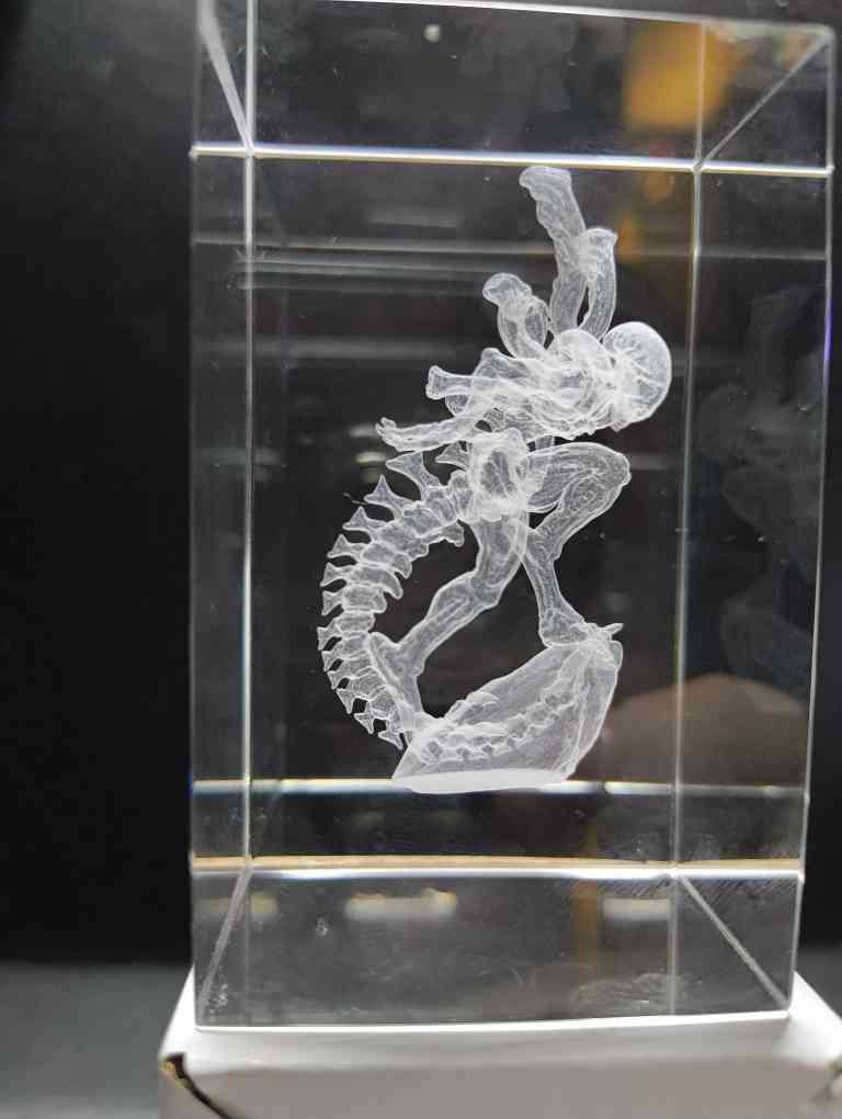 Inner engraving - xenomorph